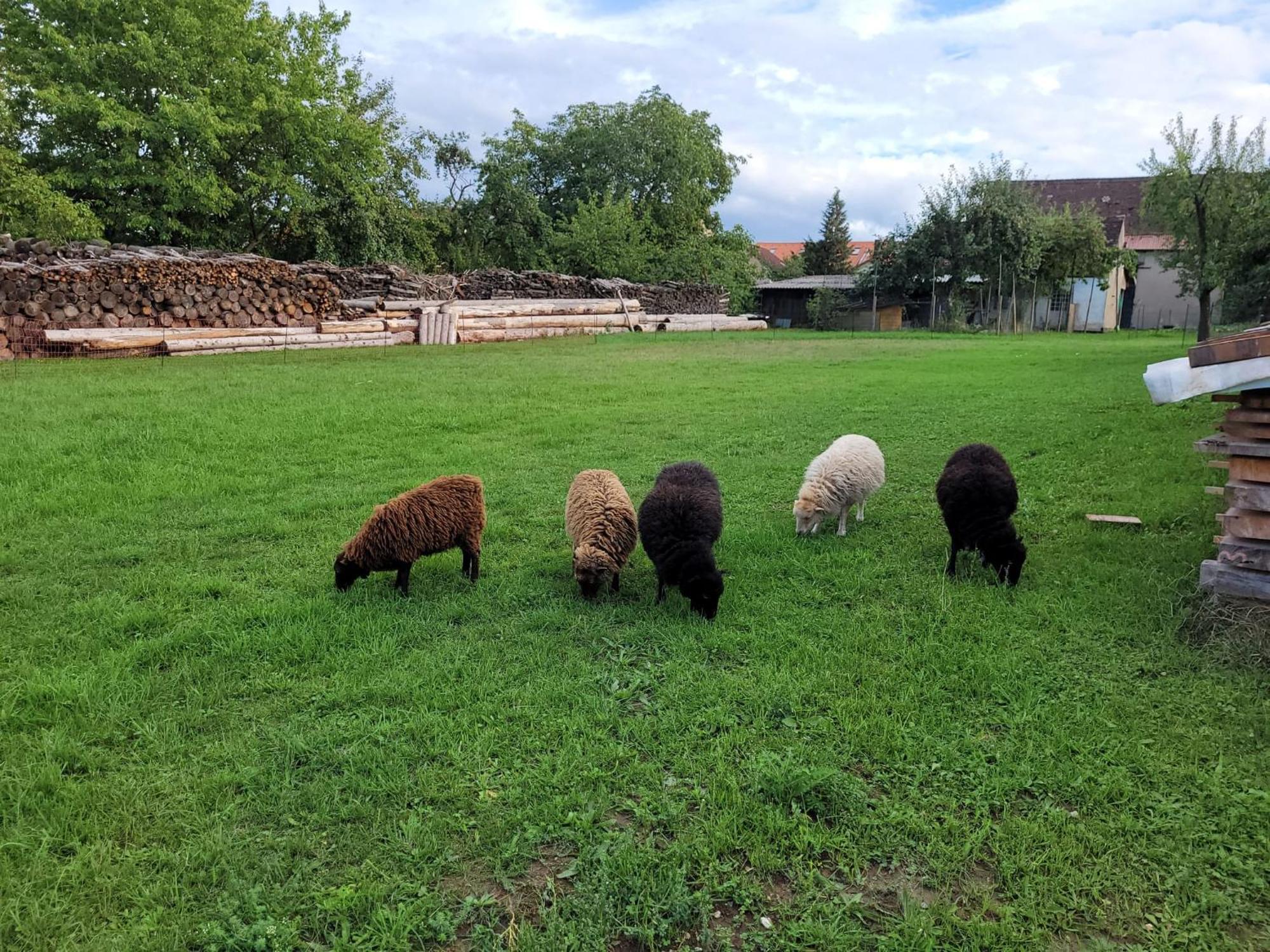 Ferienwohnung Wiesenhof Neuhof an der Zenn Luaran gambar